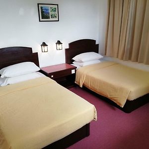 Standard Twin Room Mountain View